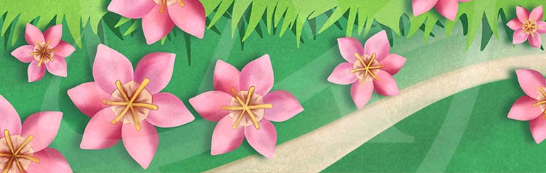 Ace Label artwork for Shaymin